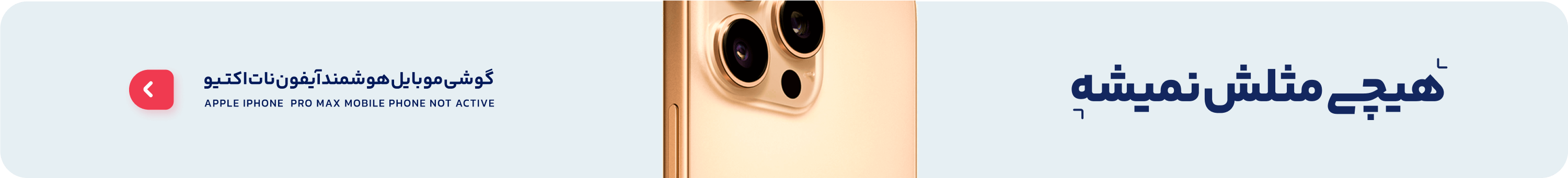 Banner 1
